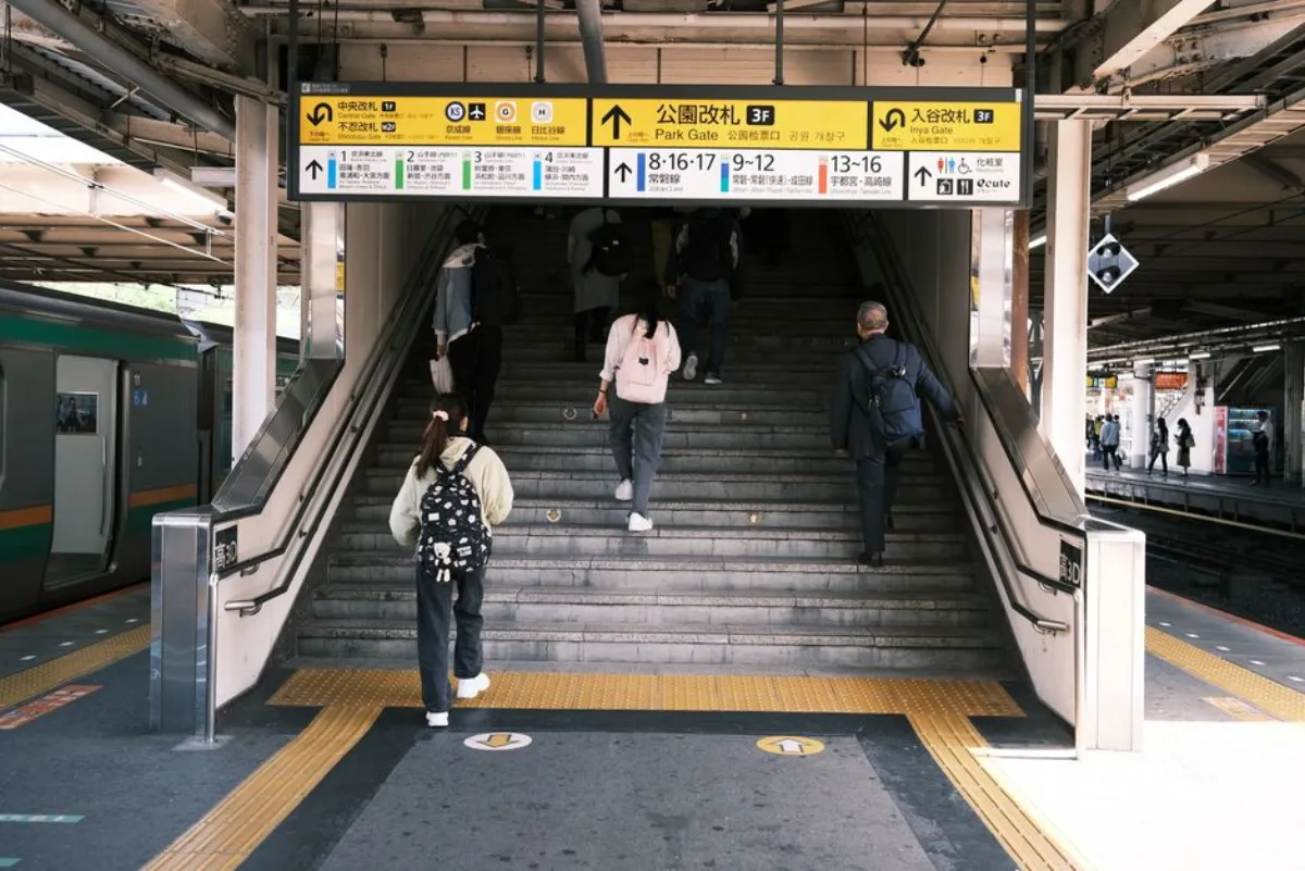 anime guide